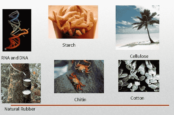 Natural and synthetic polymers