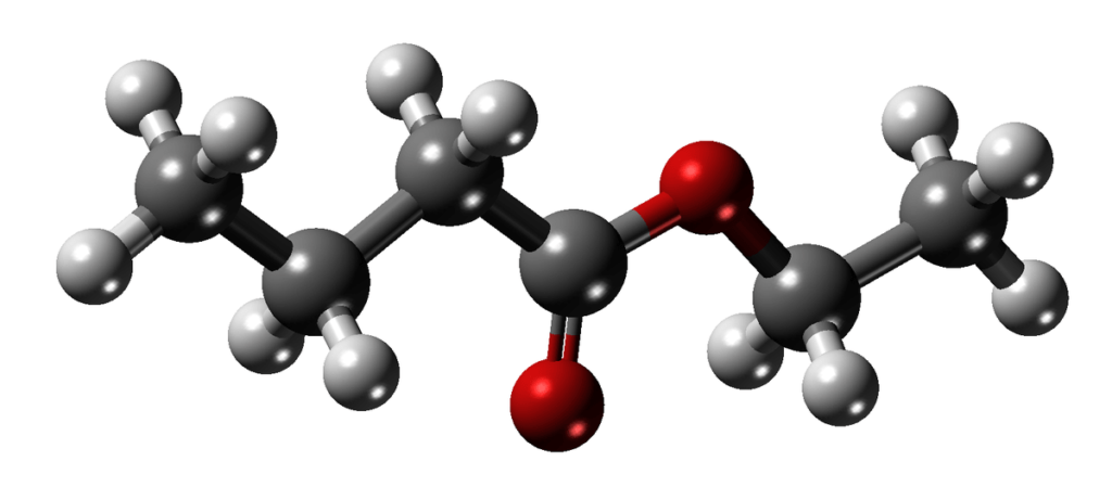 Types of phthalates